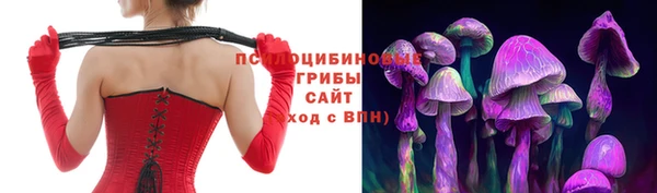 МДПВ Протвино